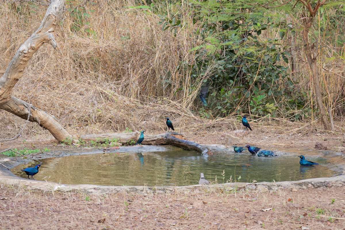 2024-12-16 078 Bird Hide.jpg