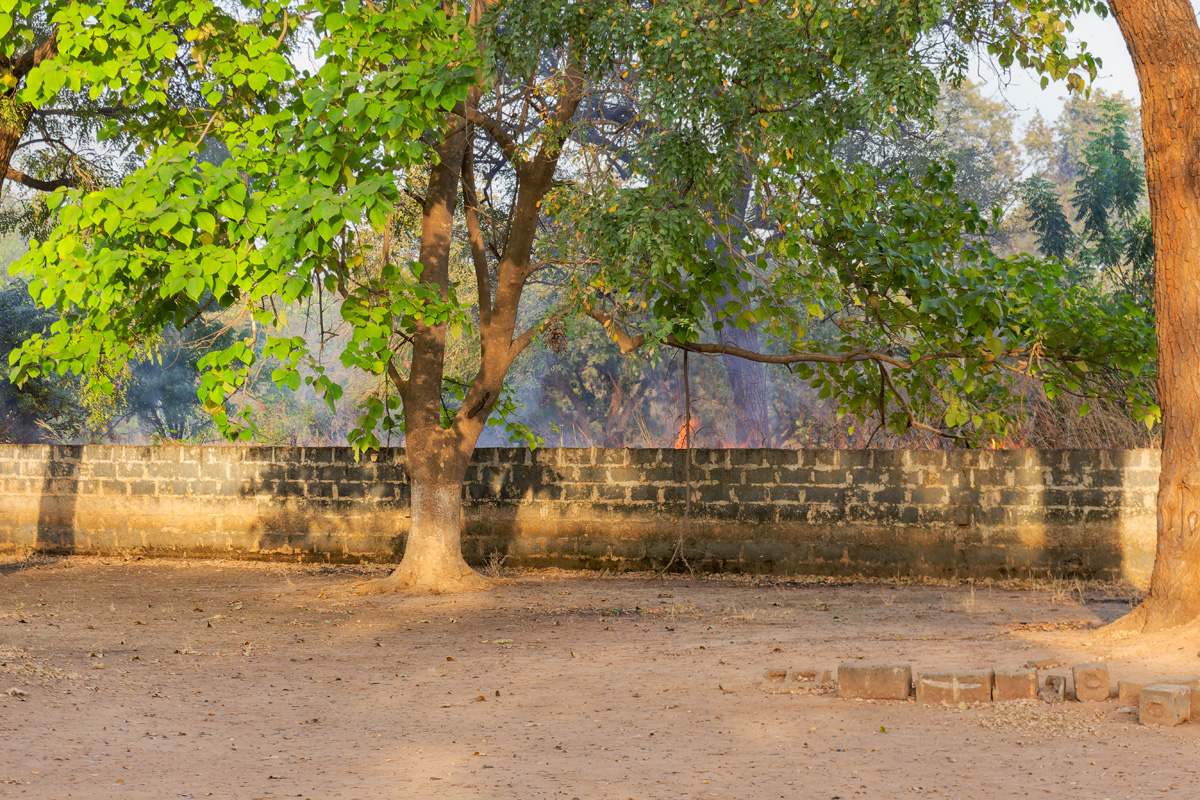 2024-12-16 079 Bush Fire.jpg