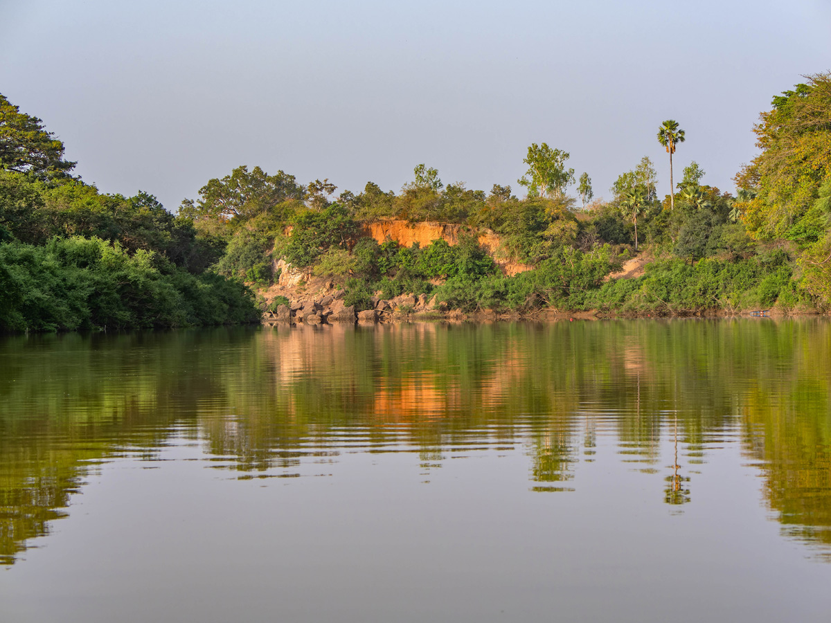 2024-12-21 063 Gambia River.jpg