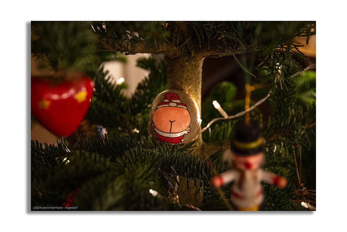 20240106_Weihnachtspöter_0005 WEB FORUM.jpg