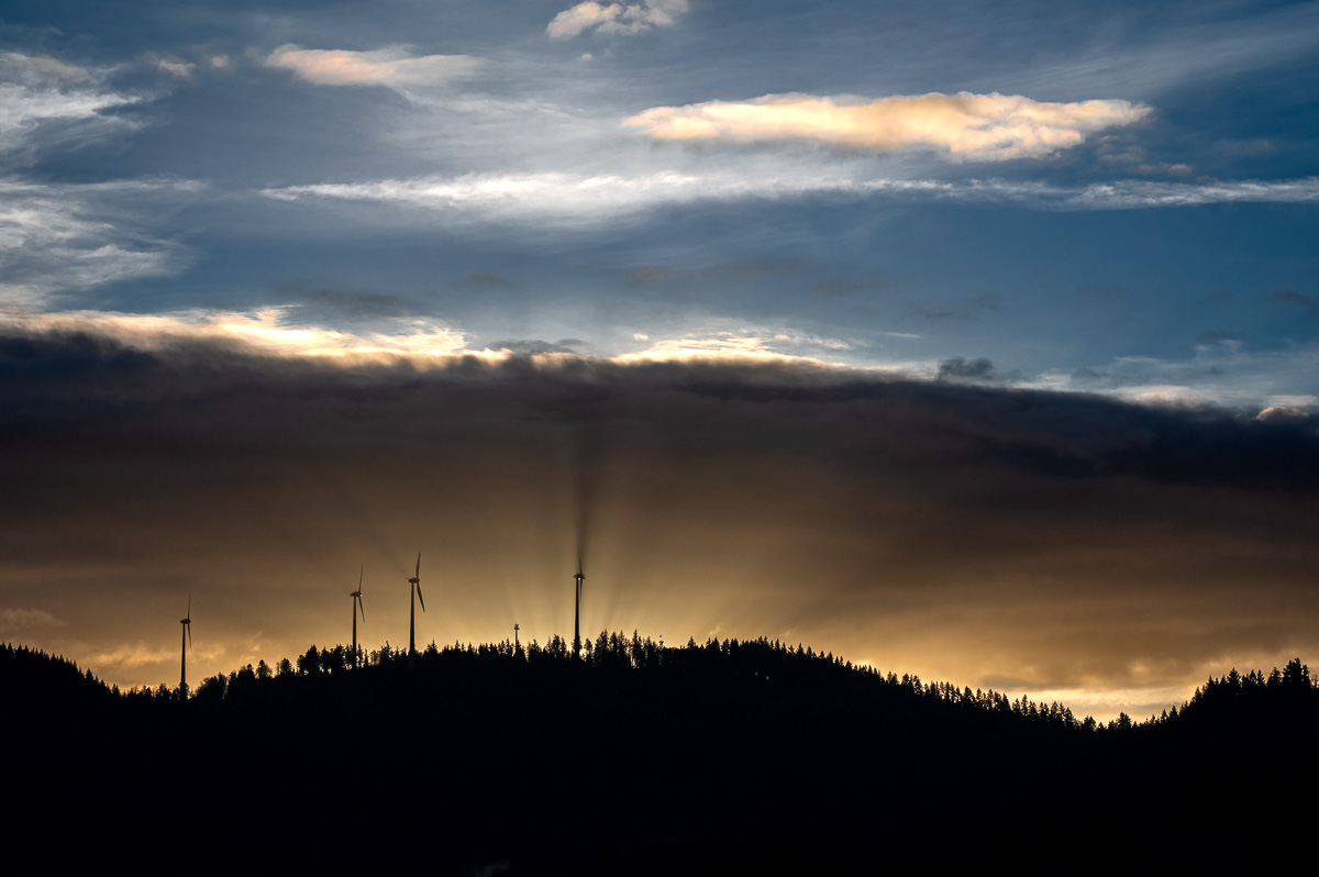 20240213-NZ6_9592-2.jpg