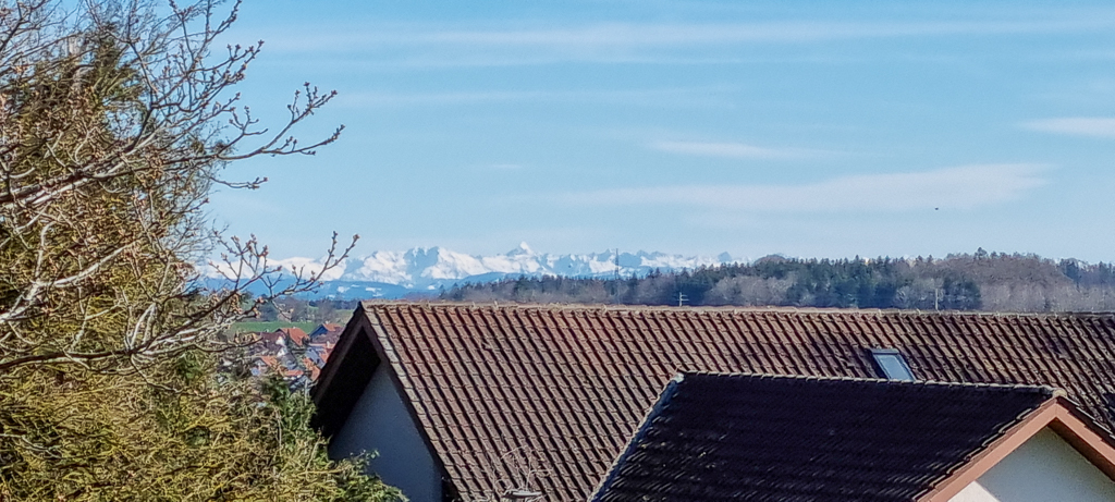20240325_152025-1.jpg