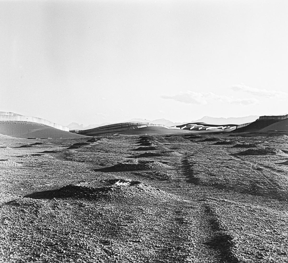 20240326-NIK_6926.jpg