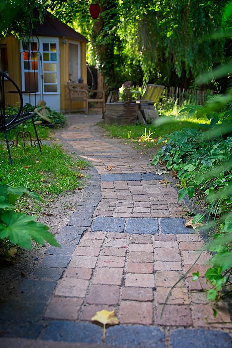 20240611_192959_Z5.jpg