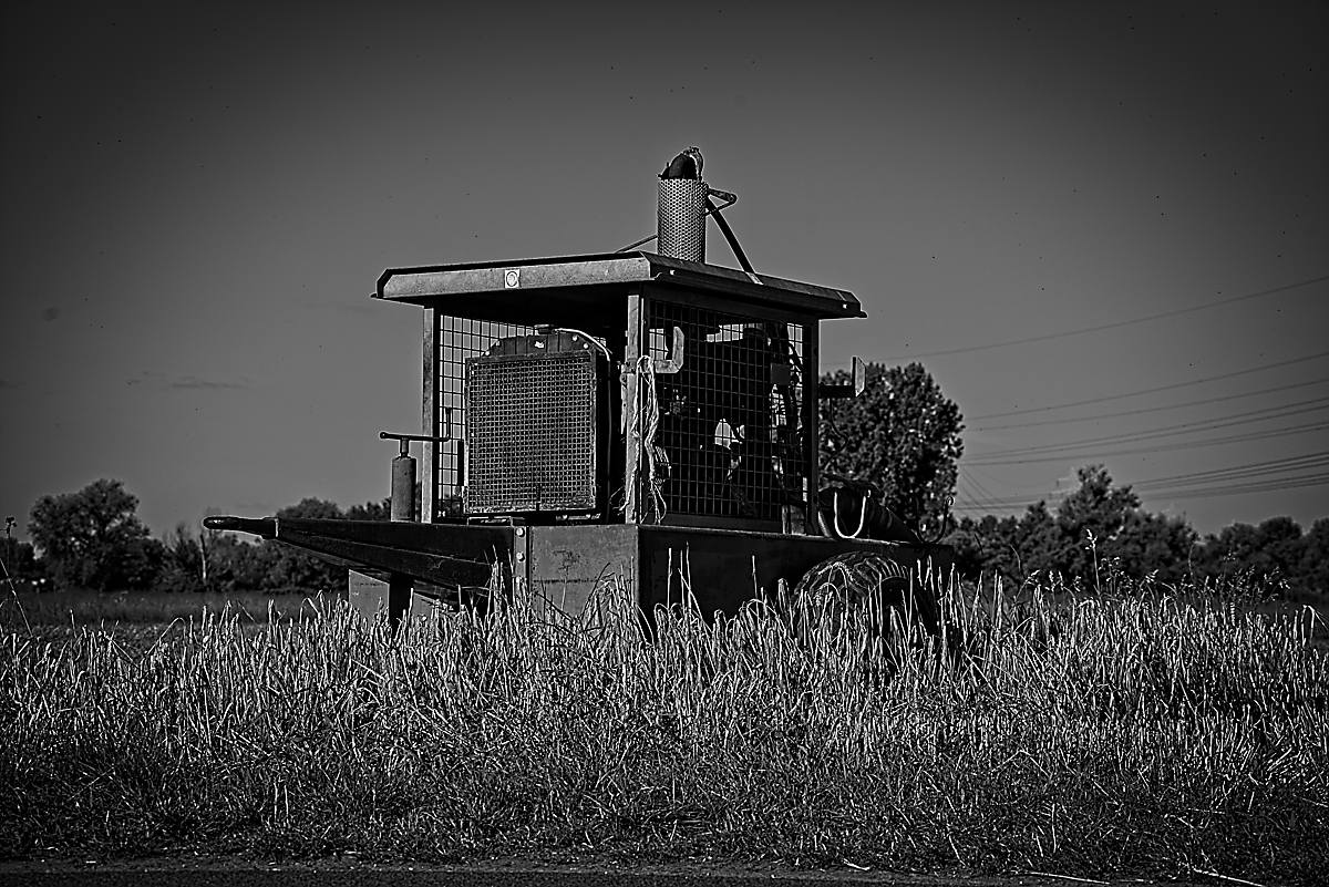 20240714_083539_Z5_1200.jpg