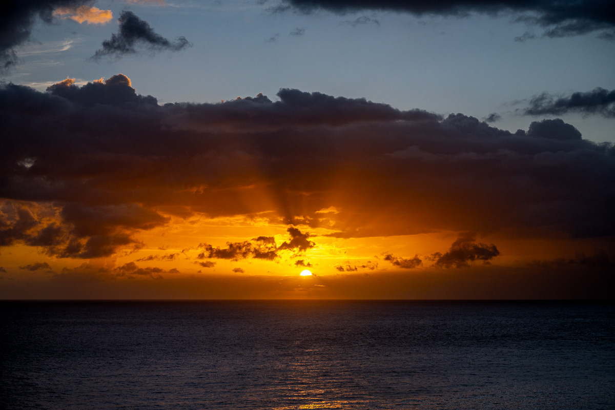 20240929-NZ7_0059.jpg