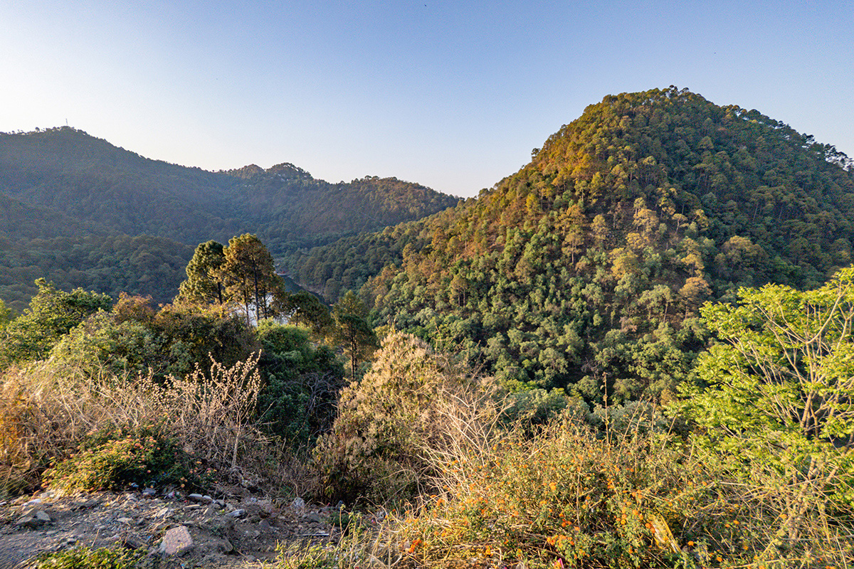 2025-04-04 029 Sattal Hills.jpg