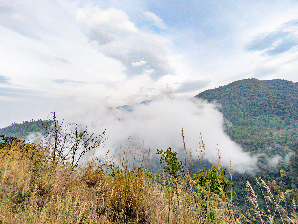 2025-04-10 060 Landscape.jpg