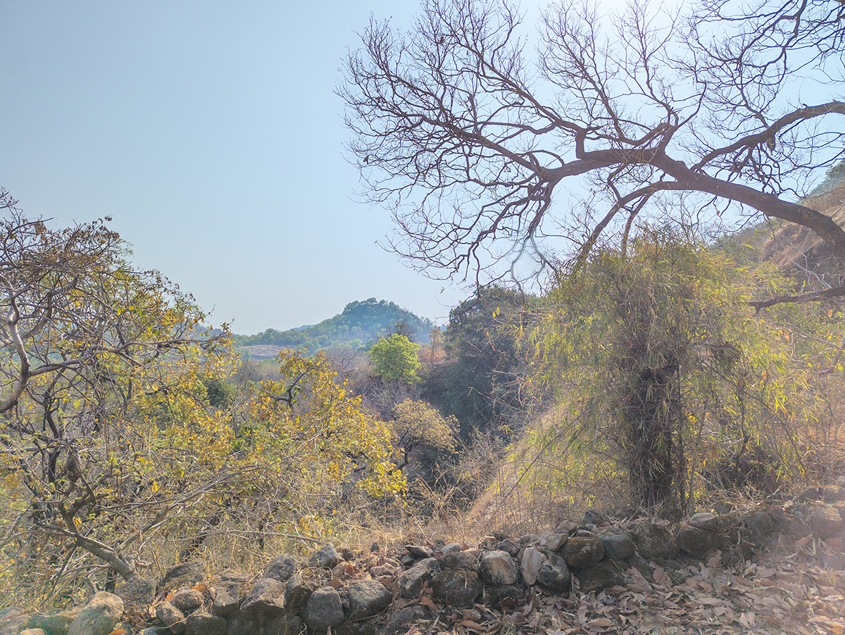 2025-04-16 035 Landscape.jpg