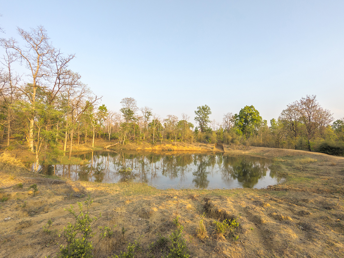 2025-04-16 068 Water Hole.jpg