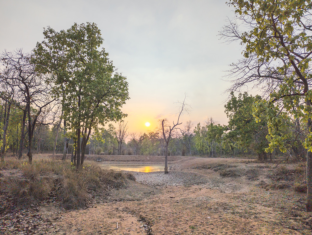 2025-04-16 077 Sunset over Water Hole.jpg