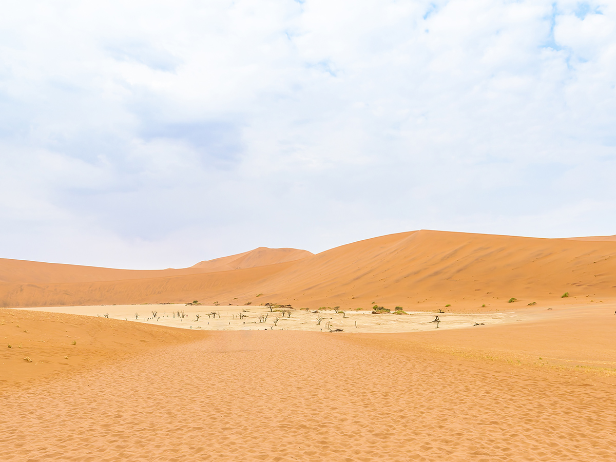2025-09-19 071 At Sossusvlei.jpg