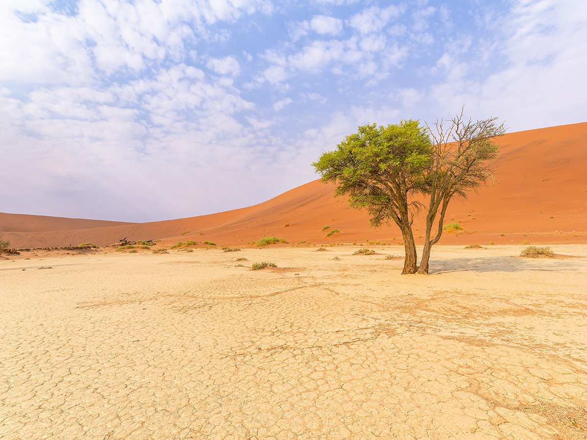 2025-09-19 080 At Sossusvlei.jpg