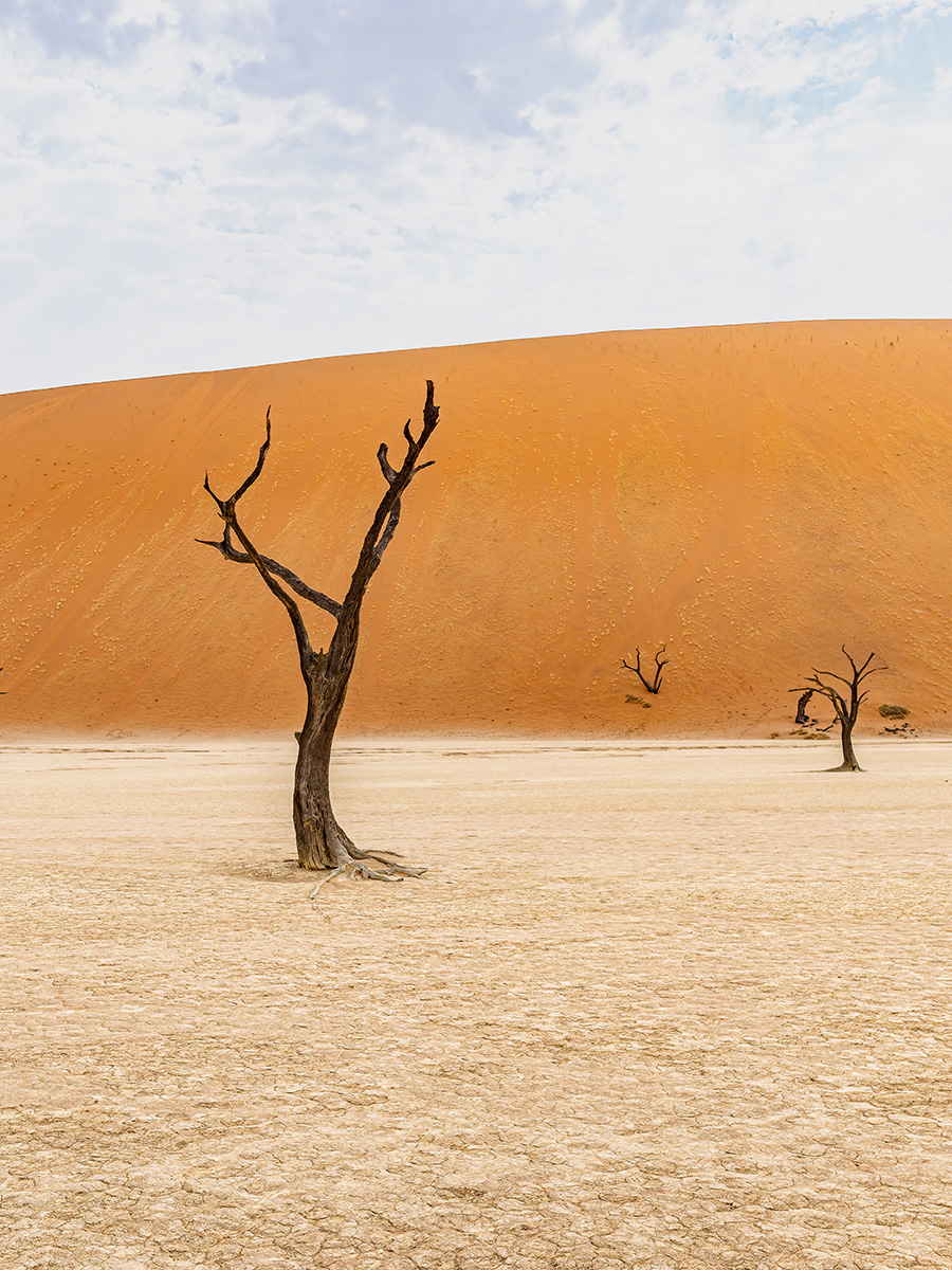 2025-09-19 092 At Sossusvlei.jpg