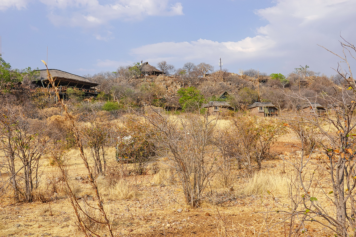 2025-09-24 052 Ongava Lodge.jpg