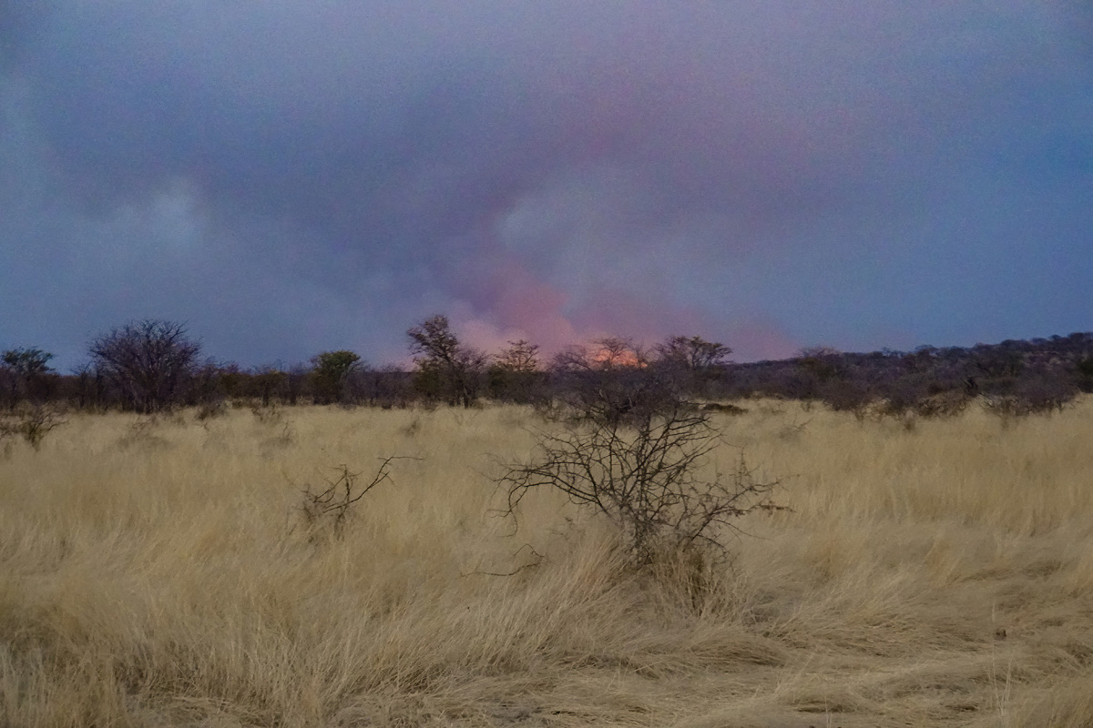 2025-09-24 100 Wildfire.jpg
