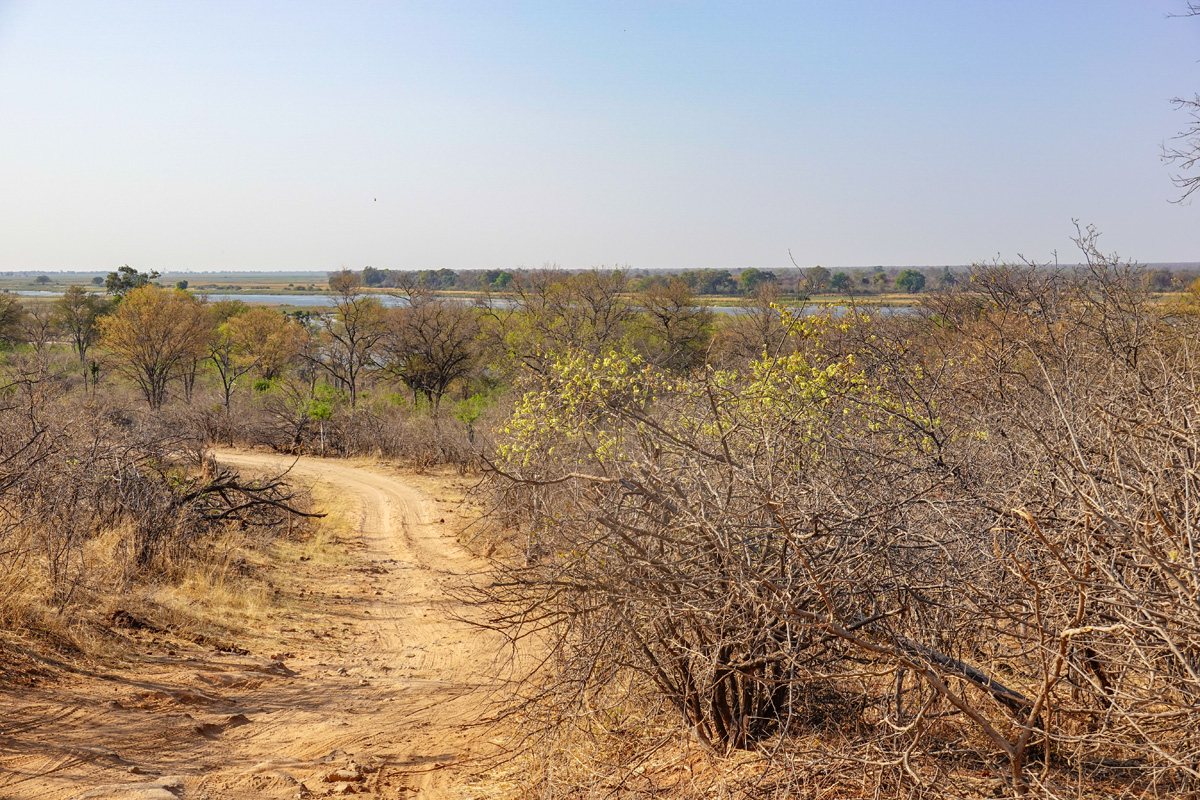 2025-09-29 039 Okavango River.jpg