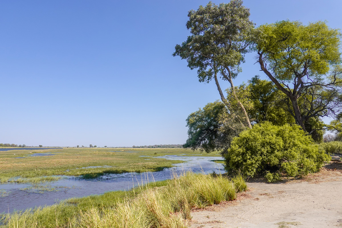 2025-09-29 081 Okavango River.jpg
