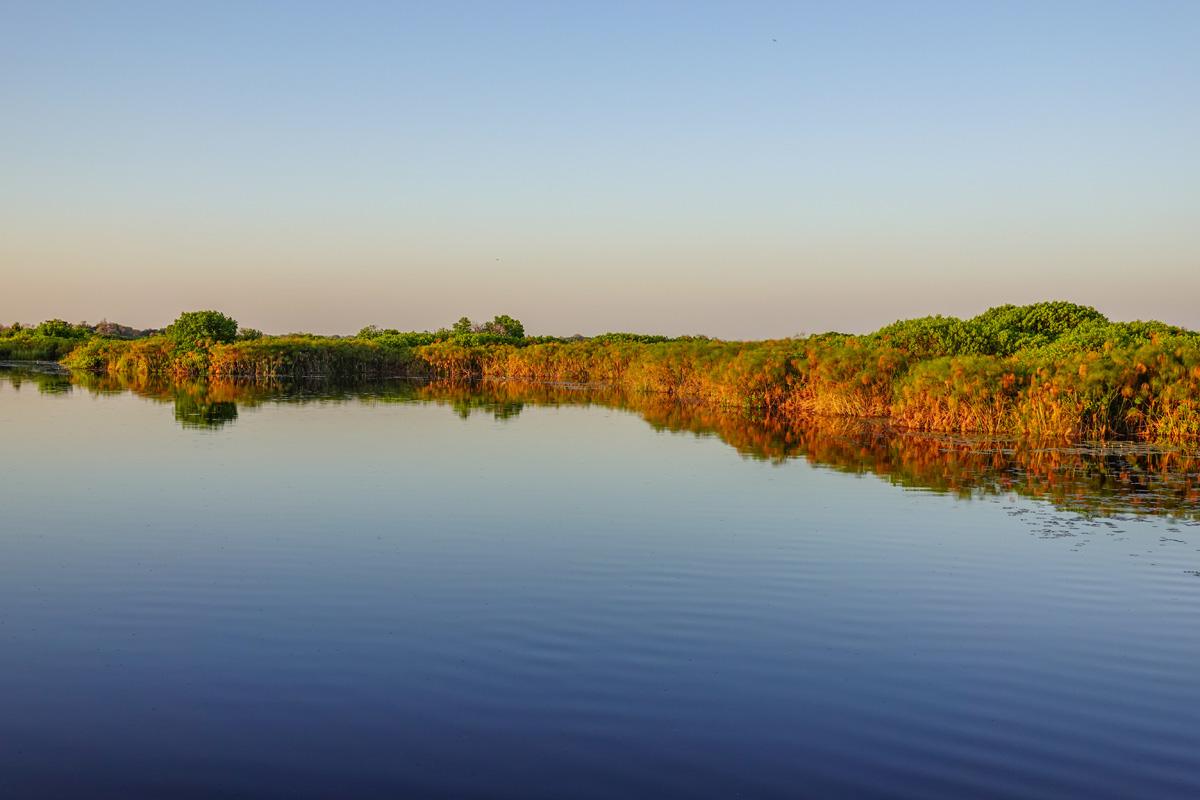 2025-09-30 063 In the Okavango Delta.jpg