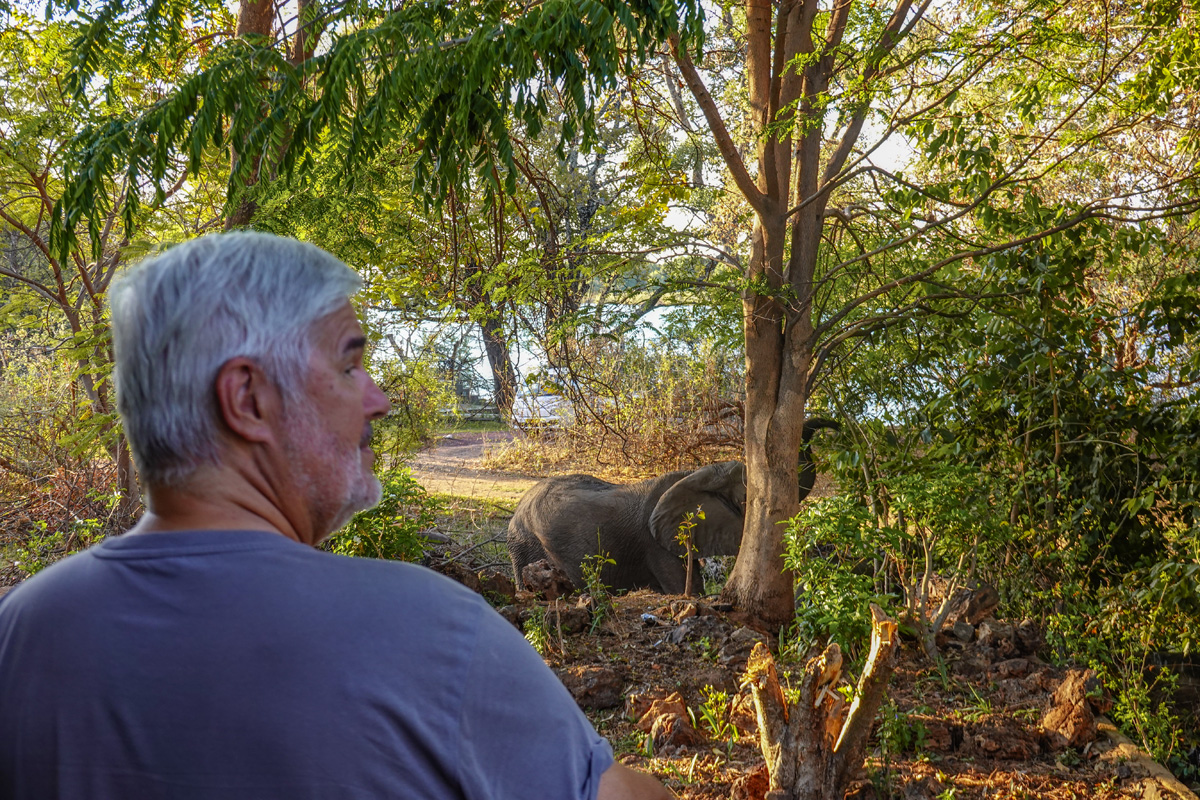 2025-10-05 04 Lothar with Elephant at Lodge.jpg