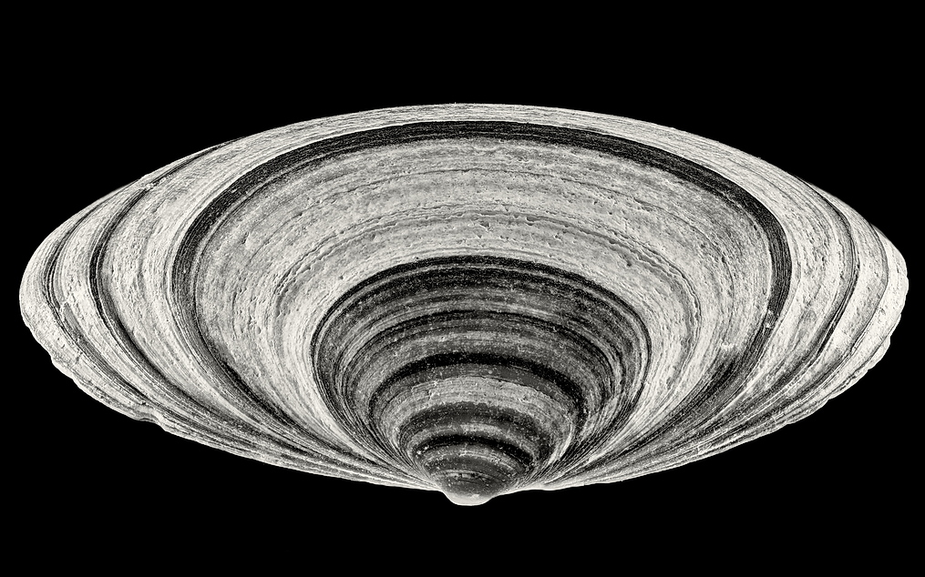 2025-10-30 21-41-31 (C,Smoothing1)_ZSG_2050_SW_nff.JPG