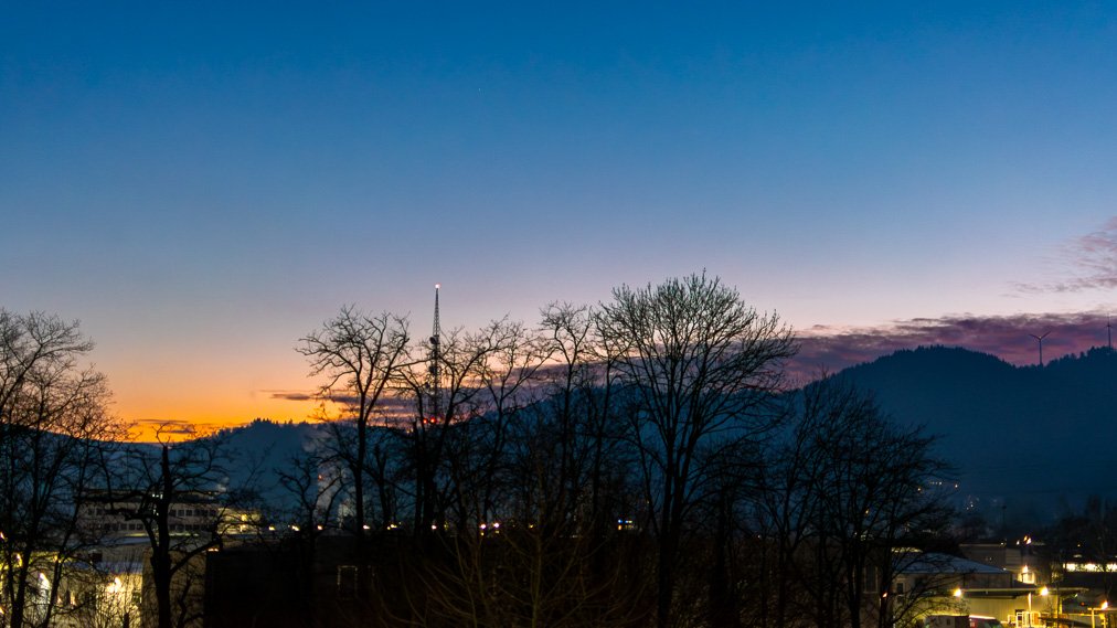 20250114-DSC_8405-Verbessert-RR.jpg