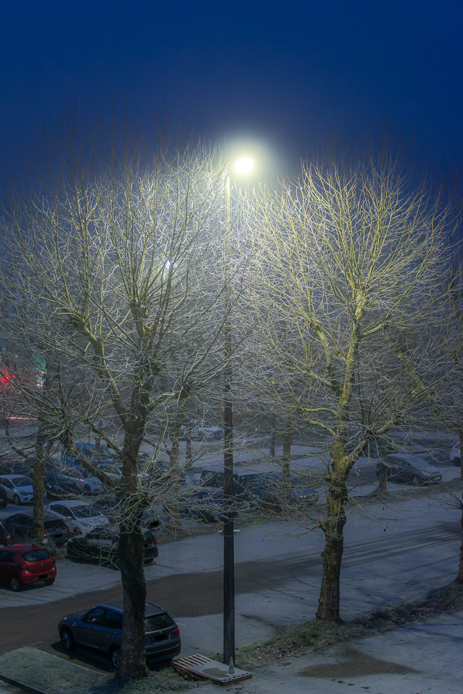 20250116-DSC_8420-Verbessert-RR.jpg