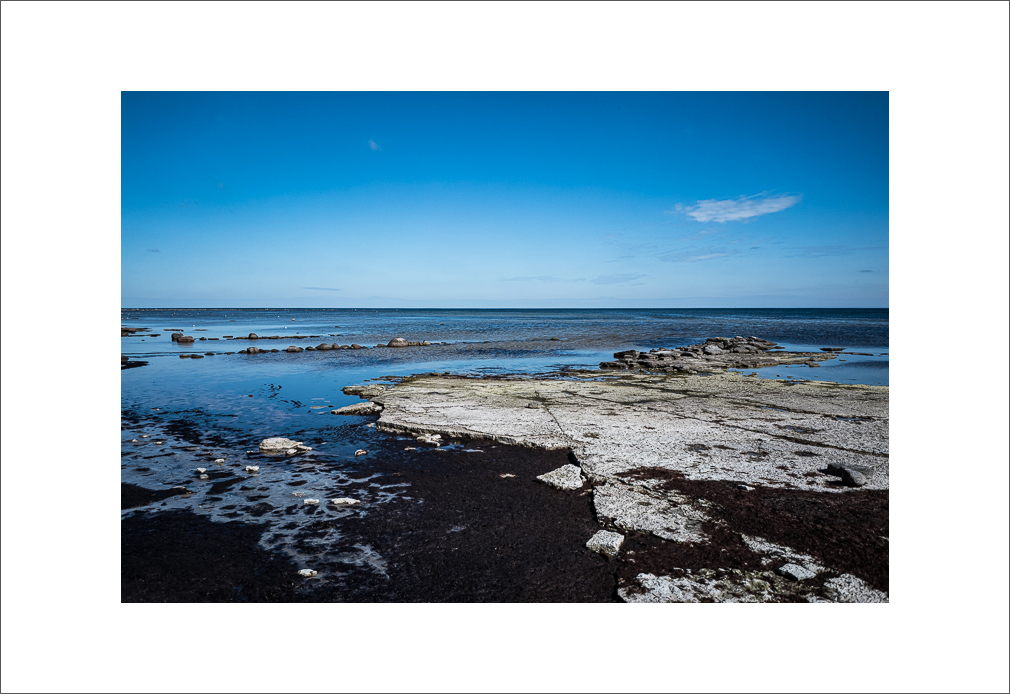 20250412-L1000964.JPG