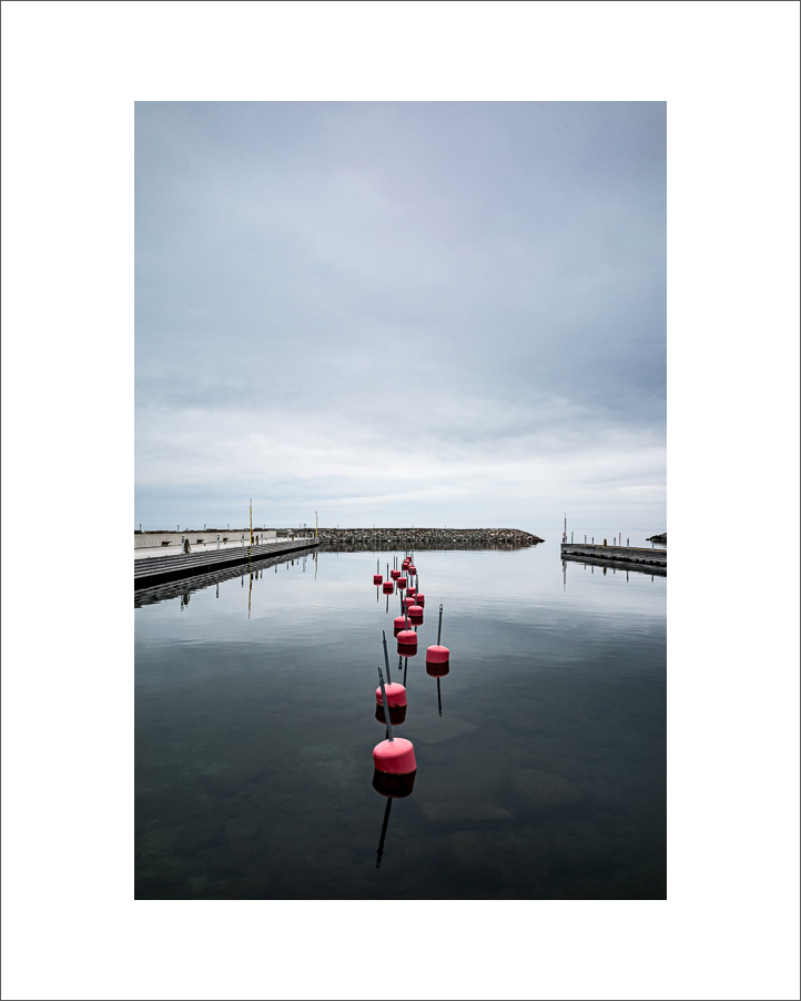 20250420-L1001218.JPG