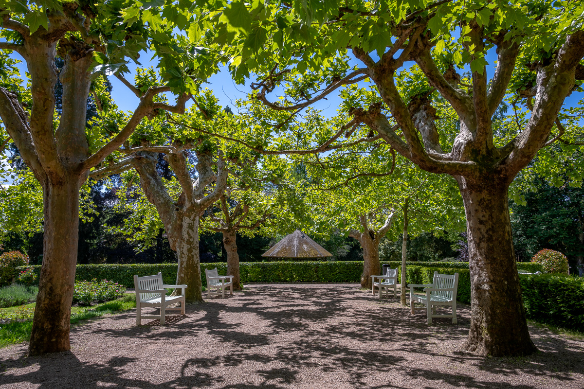 20250517-NZ7_2841.jpg