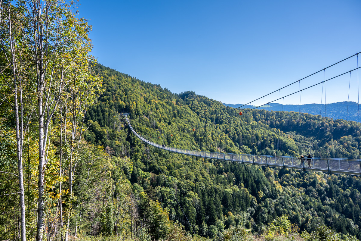 20251002-NZ7_4640.jpg