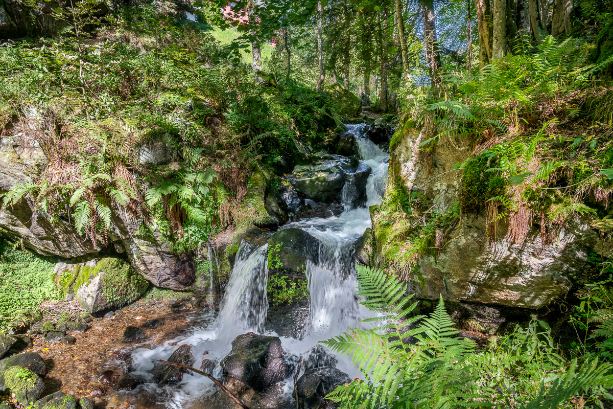 20251002-NZ7_4654.jpg