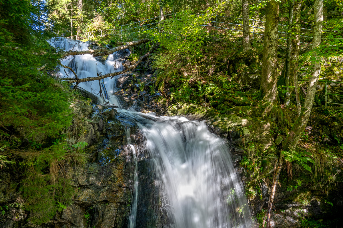 20251002-NZ7_4657.jpg