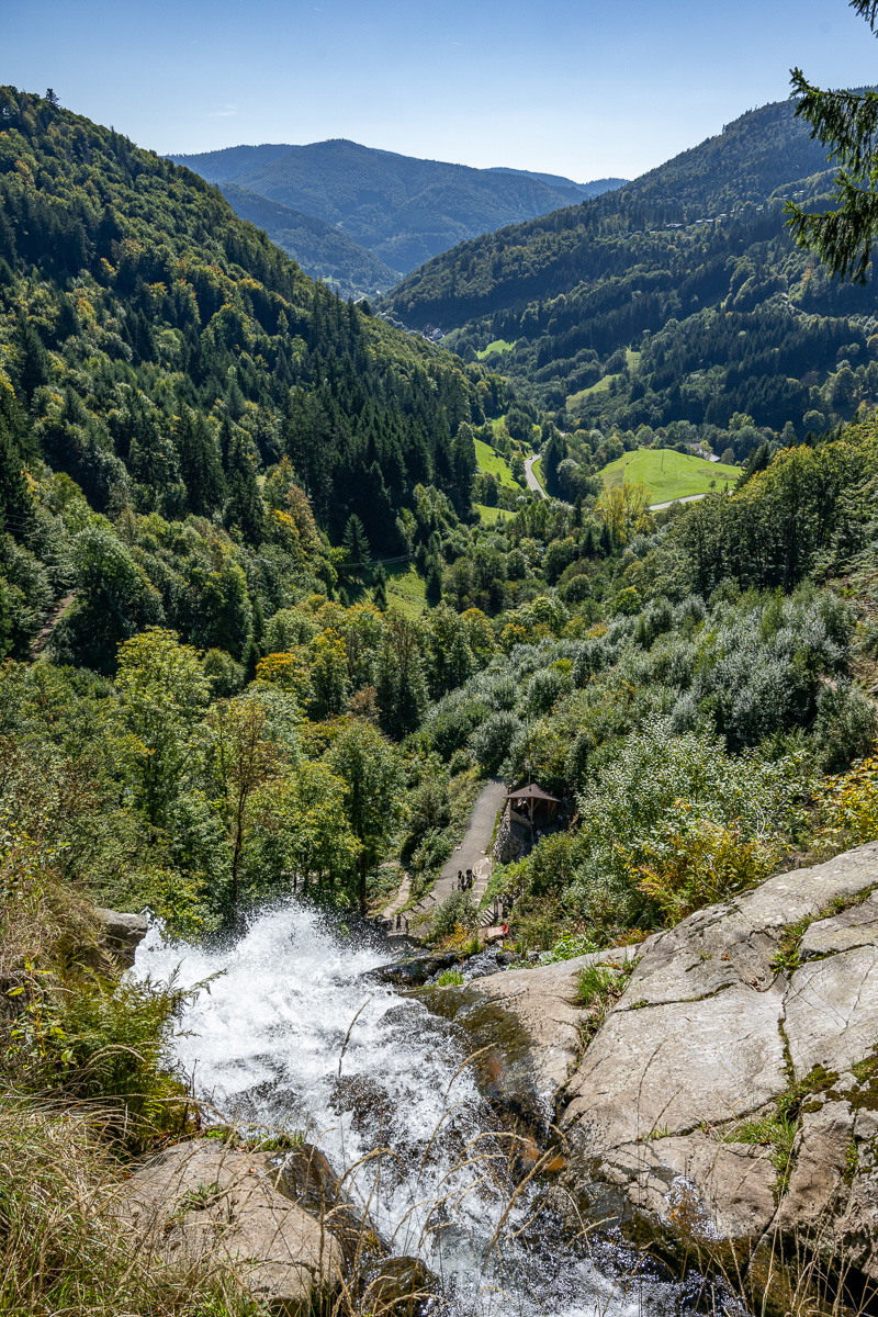 20251002-NZ7_4667.jpg