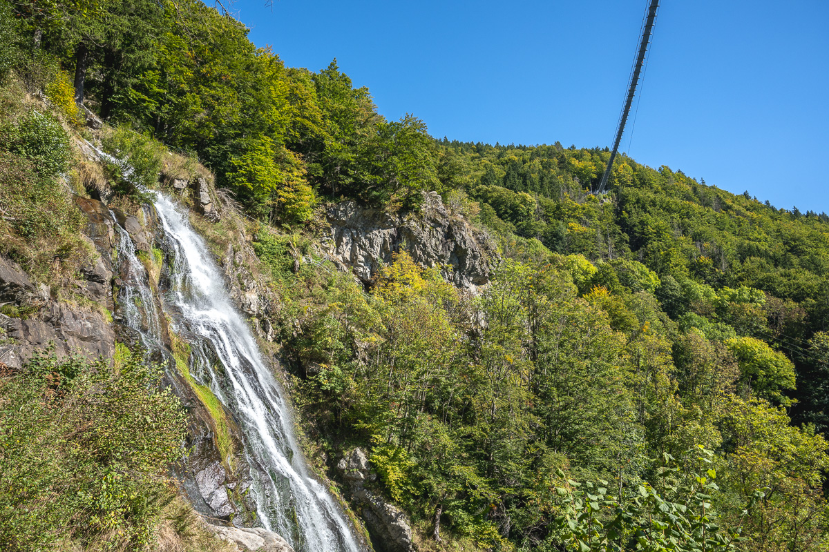 20251002-NZ7_4670.jpg