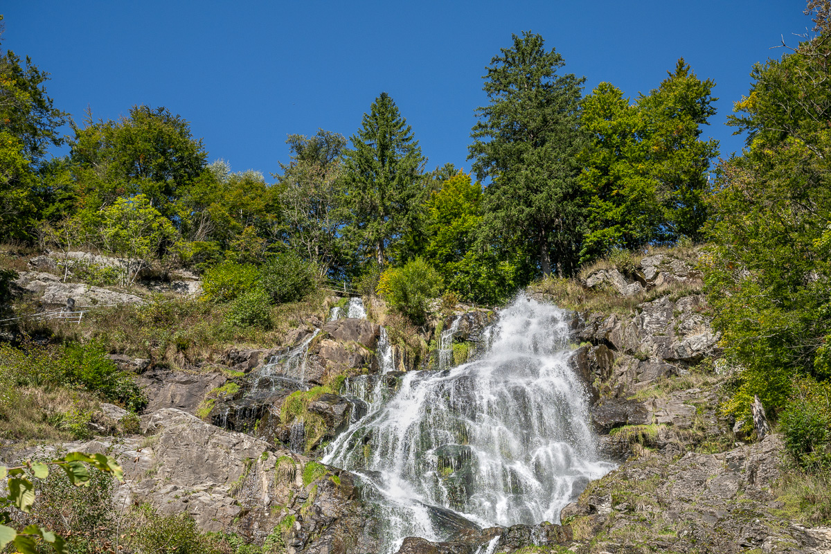 20251002-NZ7_4680.jpg