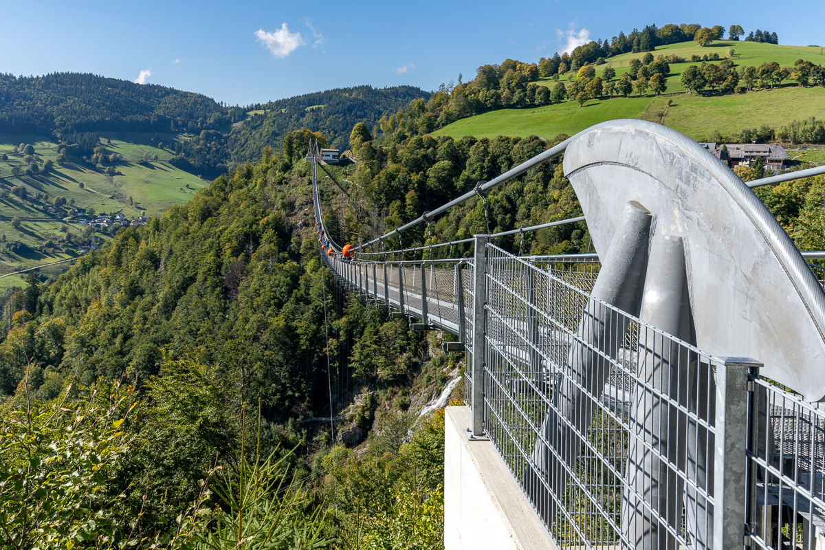 20251002-NZ7_4701.jpg