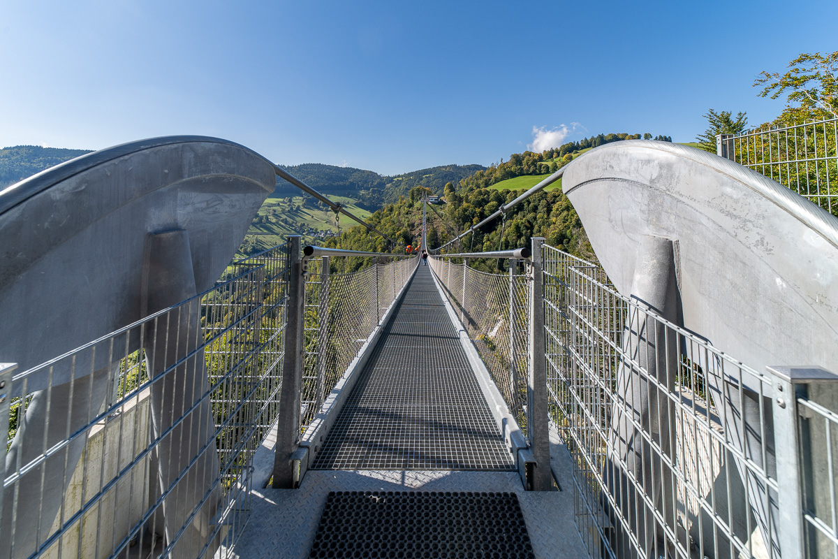 20251002-NZ7_4702.jpg