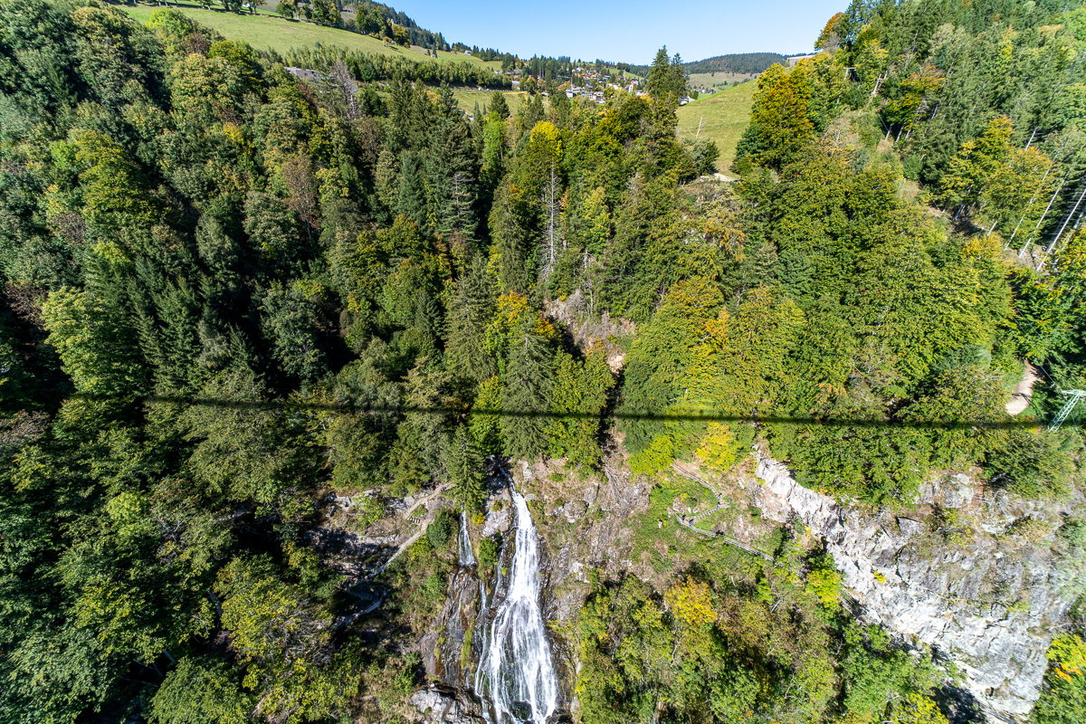 20251002-NZ7_4710.jpg