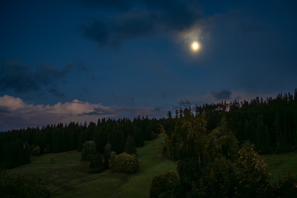 20251004-NZ7_4755.jpg