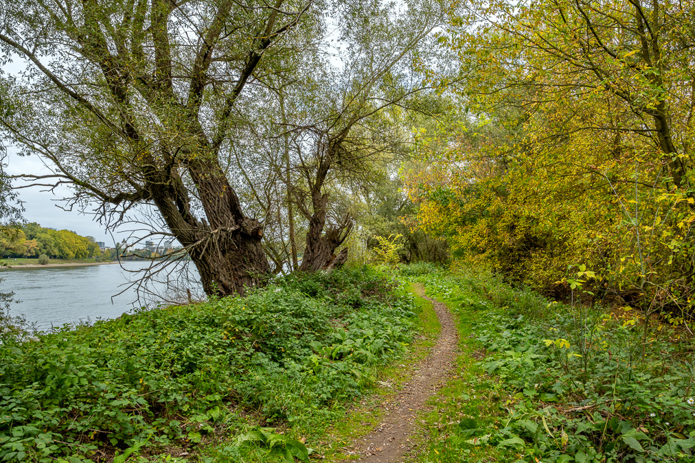 20251012-NZ7_4904.jpg