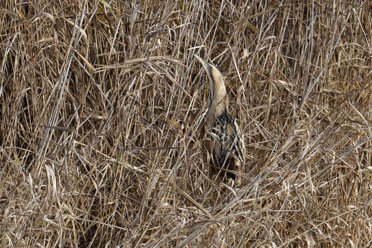 2025_088917_DxO.jpg