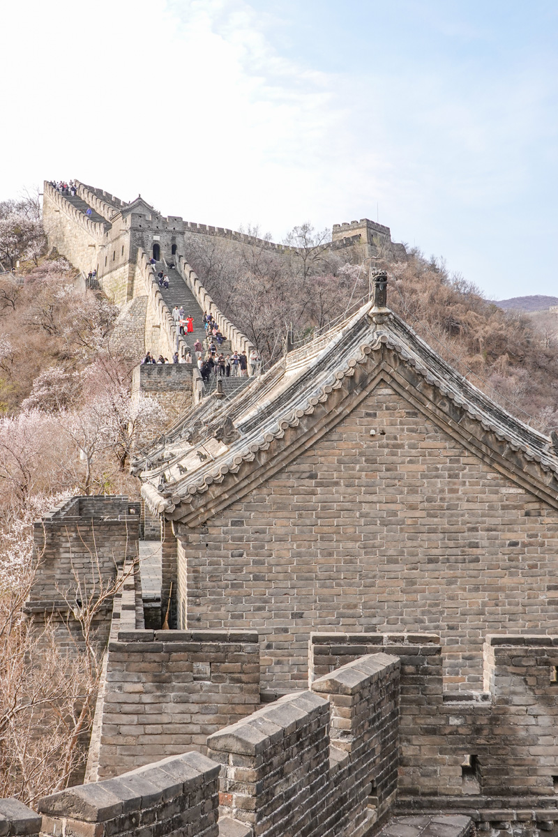 2026-03-30 42 Great Wall.jpg