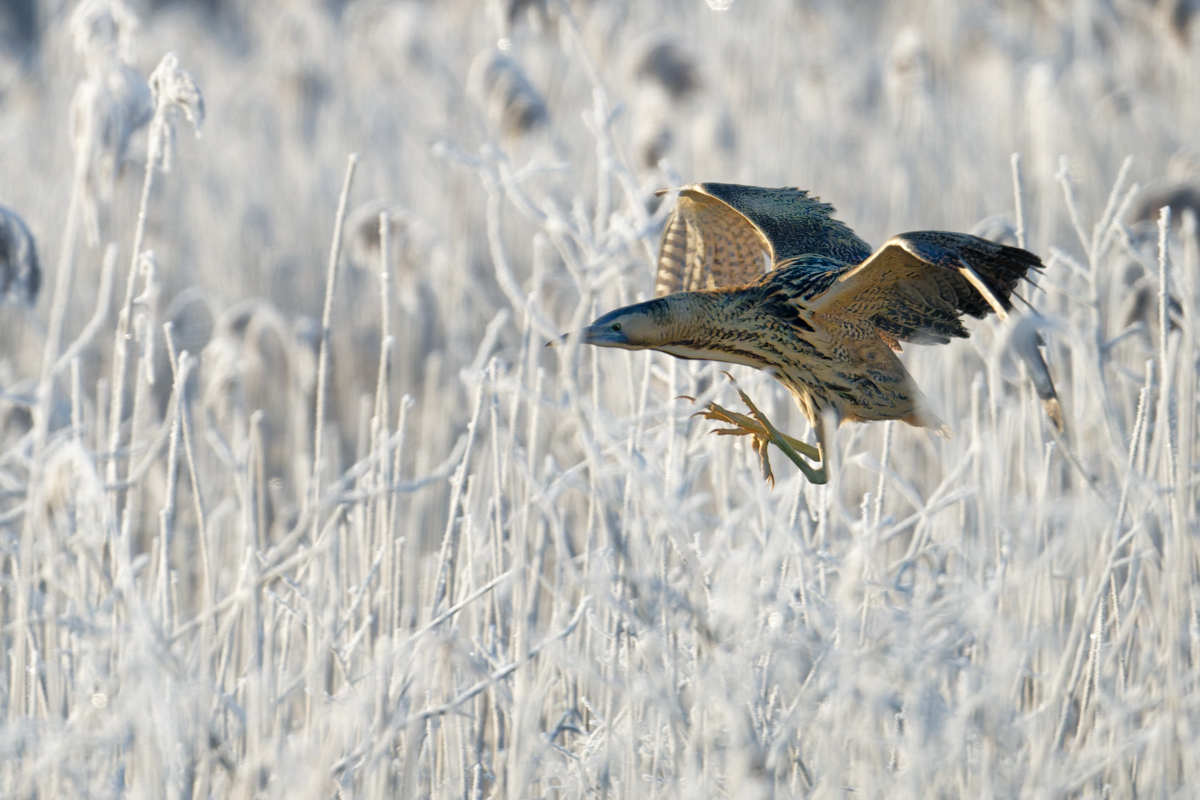 2026_004774.jpg