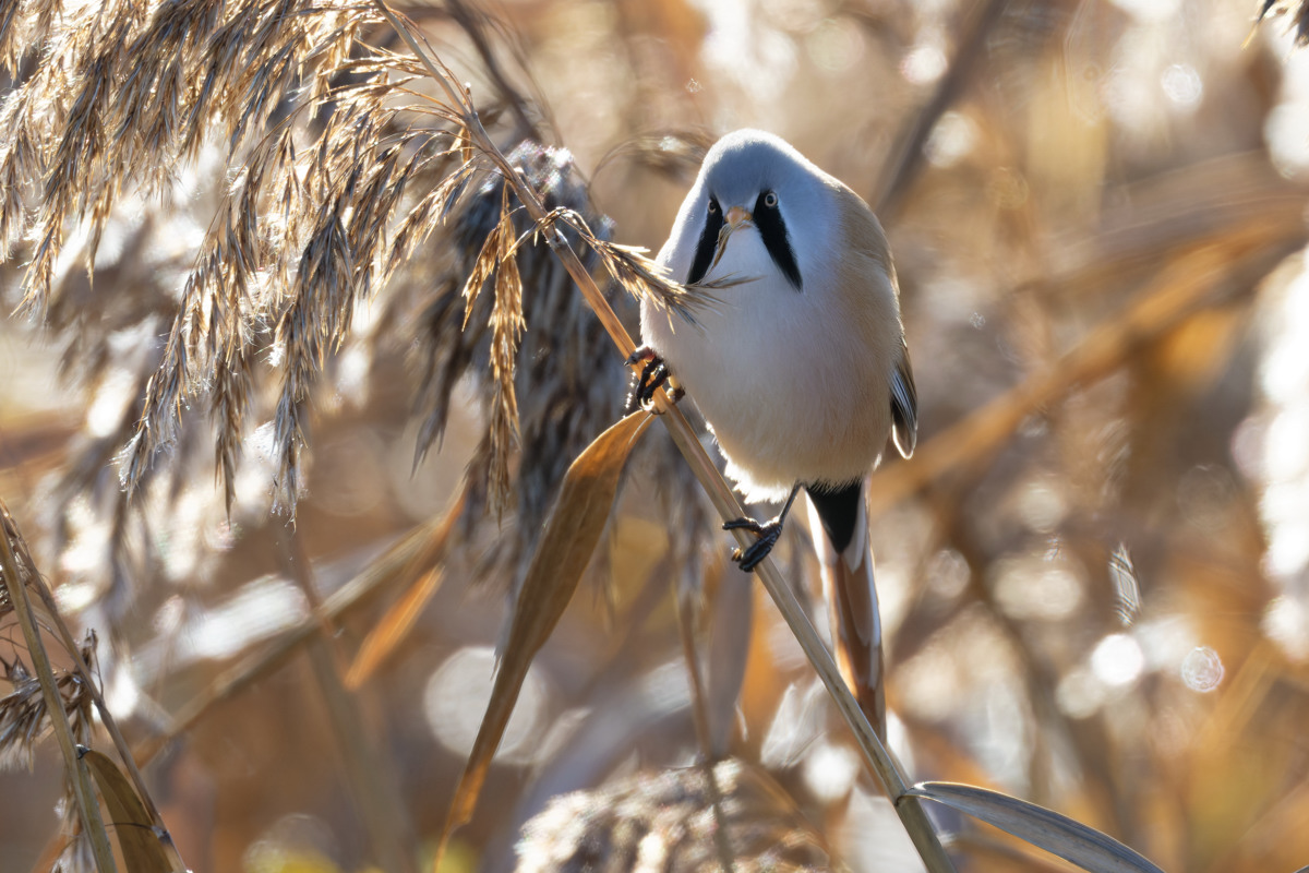 2026_040390.jpg