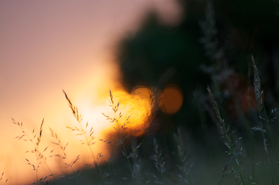 203sonnenuntergang