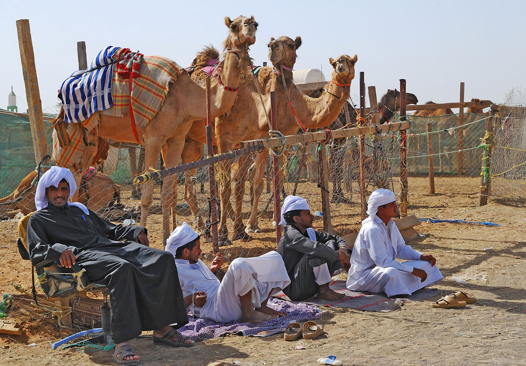 2080427 3679 1024 KamelSouk AlAin