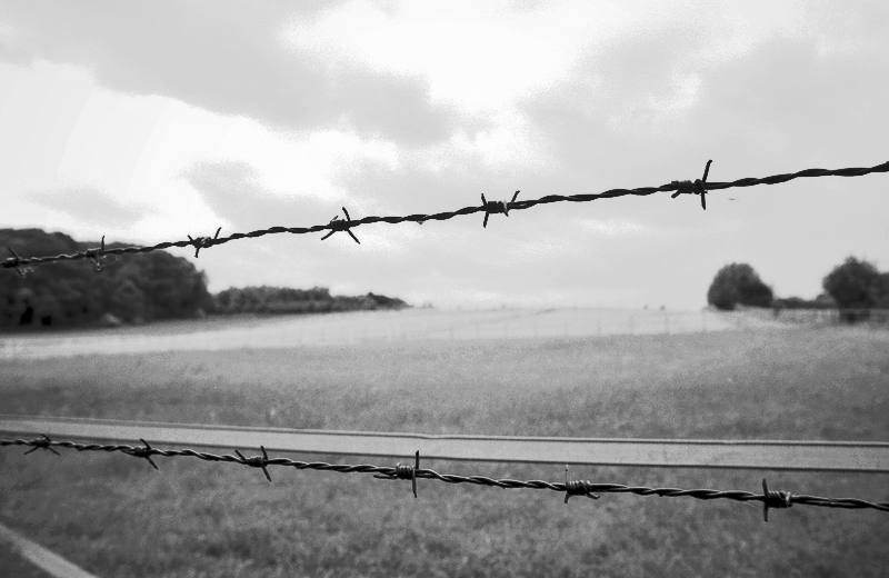 208800f6kodaktmax100zäune