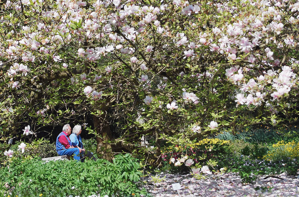 2090418 6607a 1000 Frühling BotGa Linz