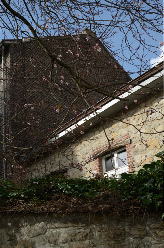 20frühling